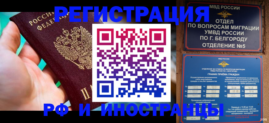 форма 3 в Мурманской области